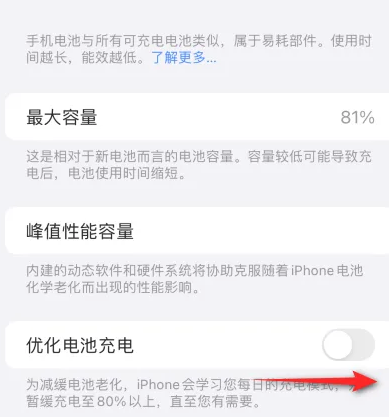 莲花苹果15维修分享iPhone15充电到80%就充不进电了怎么办 