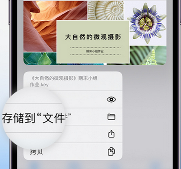 莲花apple维修中心分享iPhone文件应用中存储和找到下载文件