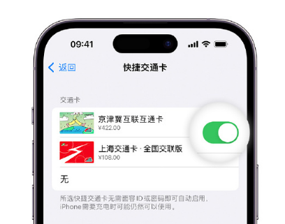 莲花apple维修点分享iPhone上更换Apple Pay快捷交通卡手绘卡面 