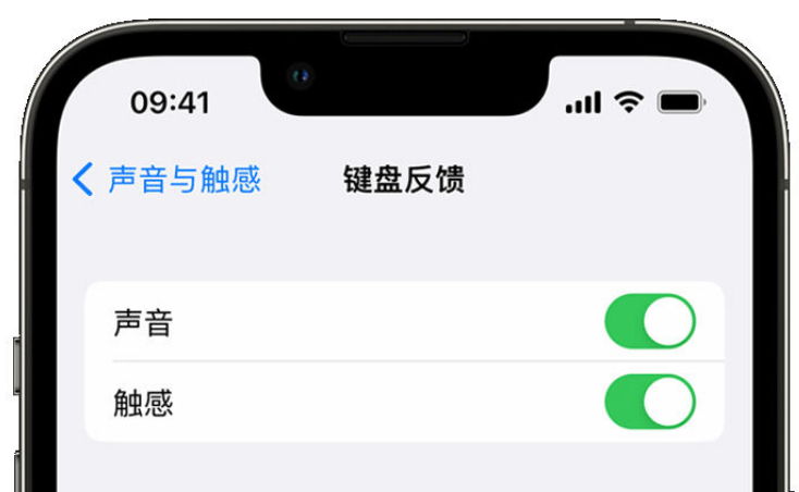 莲花苹果手机维修分享iPhone 14触感键盘使用方法 