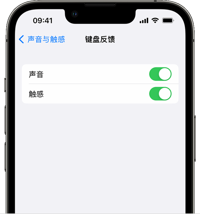 莲花苹果14维修店分享如何在 iPhone 14 机型中使用触感键盘 