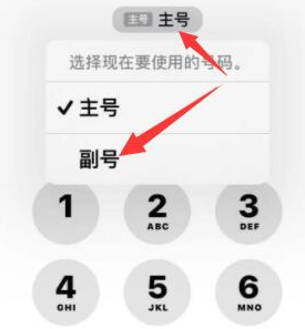 莲花苹果14维修店分享iPhone 14 Pro Max使用副卡打电话的方法 