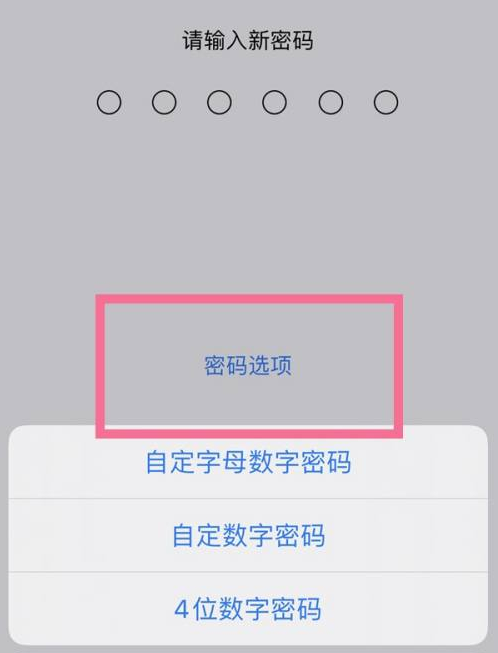 莲花苹果14维修分享iPhone 14plus设置密码的方法 