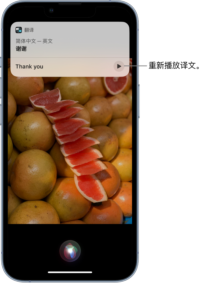 莲花苹果14维修分享 iPhone 14 机型中使用 Siri：了解 Siri 能帮你做什么 