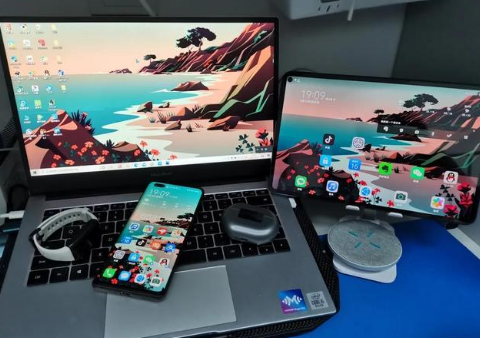 莲花苹果手机维修分享为什么iPad屏幕更大价格却比iPhone低 